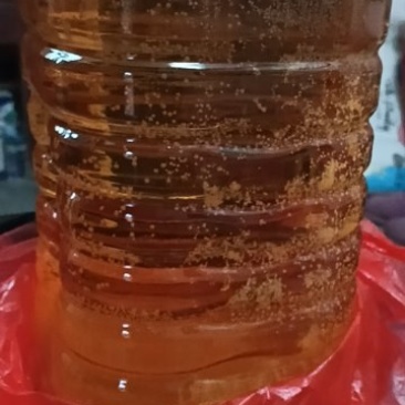 自己种的农村花生油
