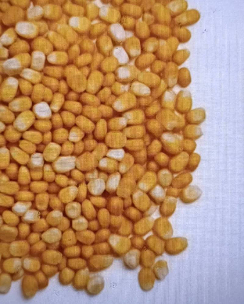 玉米