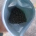 鹤峰有机茶