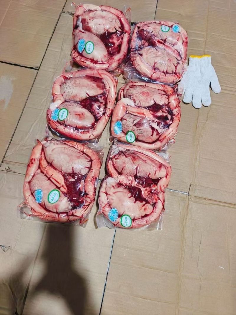 精品牛鞭宝