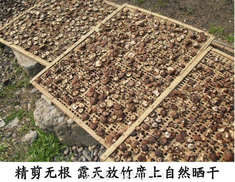 西峡干香菇