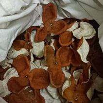 陈皮