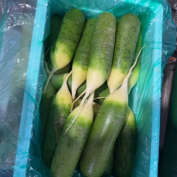 毛毛钱精品新年福利