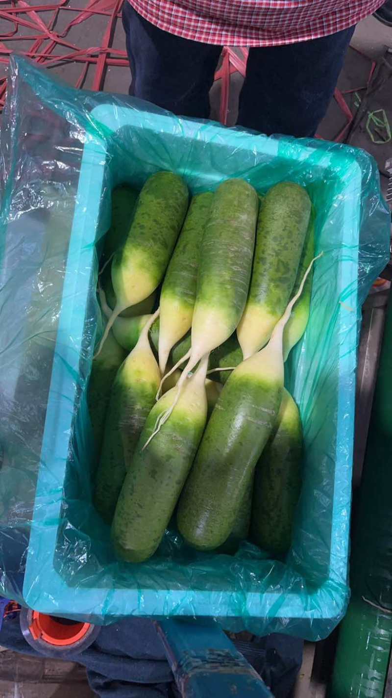 毛毛钱精品新年福利