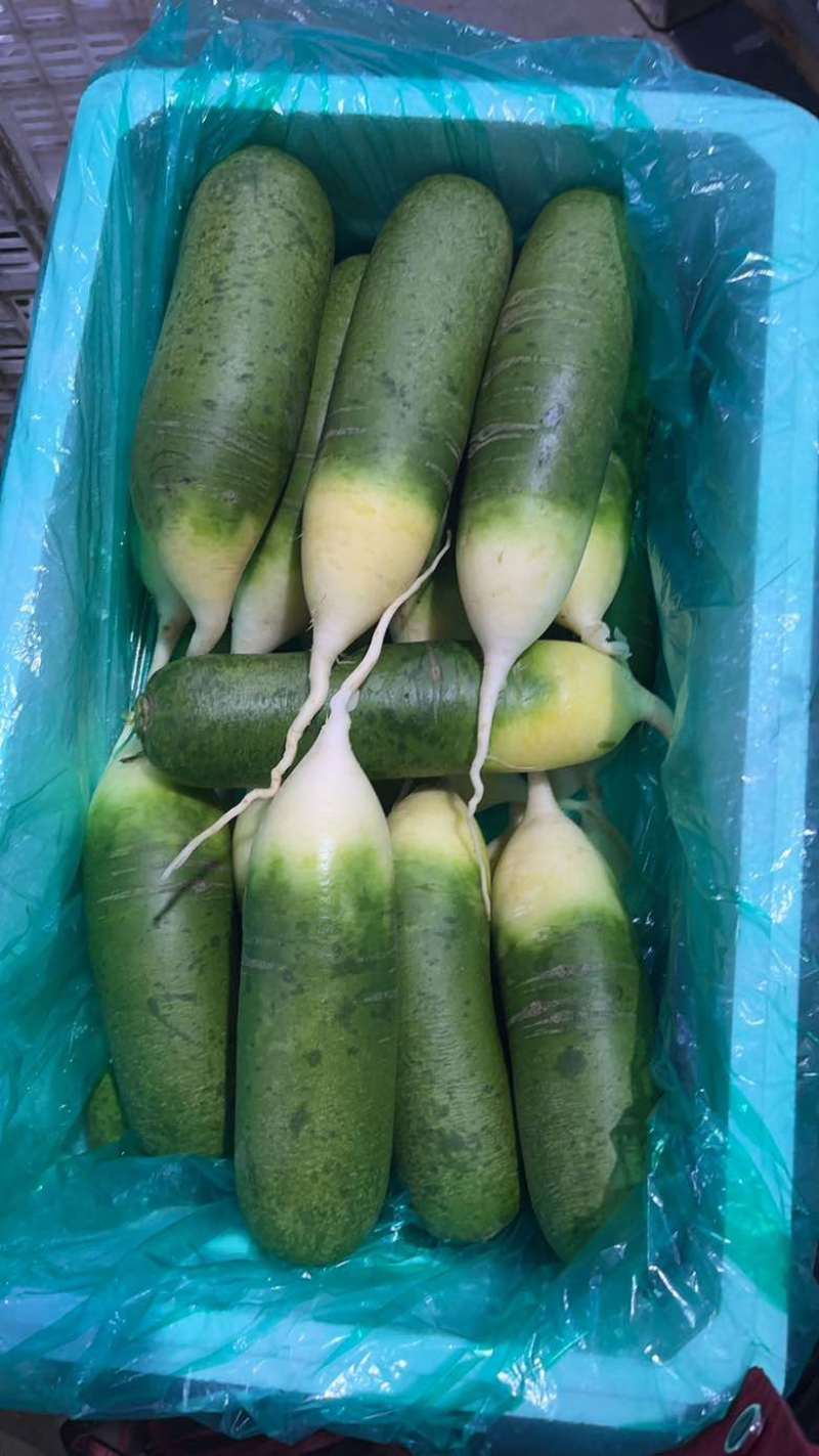 毛毛钱精品新年福利