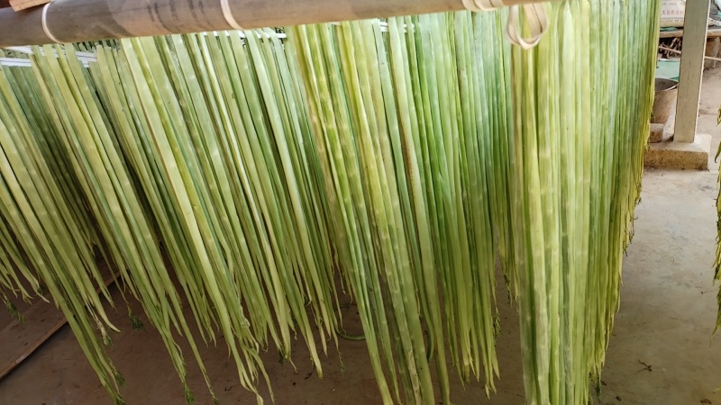 云南贡菜干
