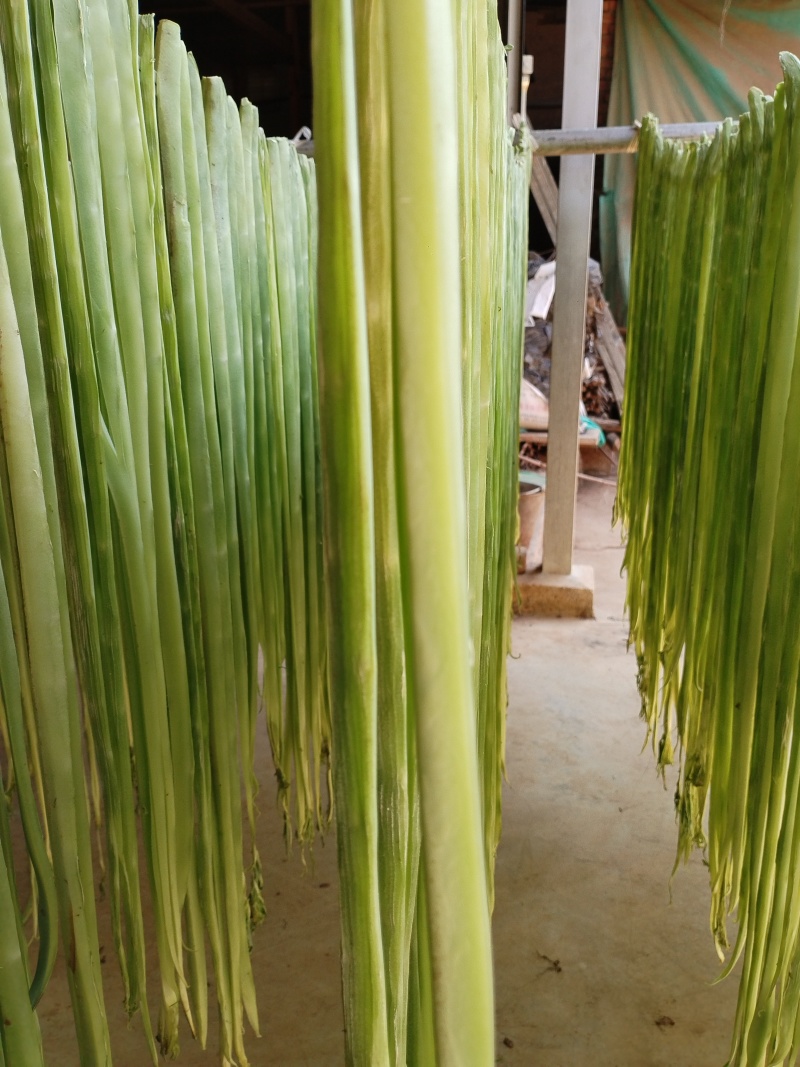 云南贡菜干