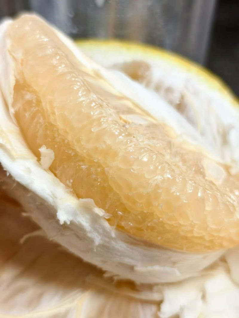 全国香柚之乡江永沙田柚