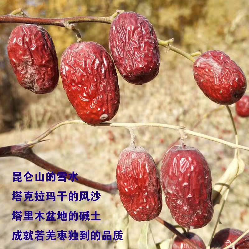 若羌灰枣特级品质代发批发！