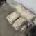 500亩芦笋鲜货大量现货接受预定