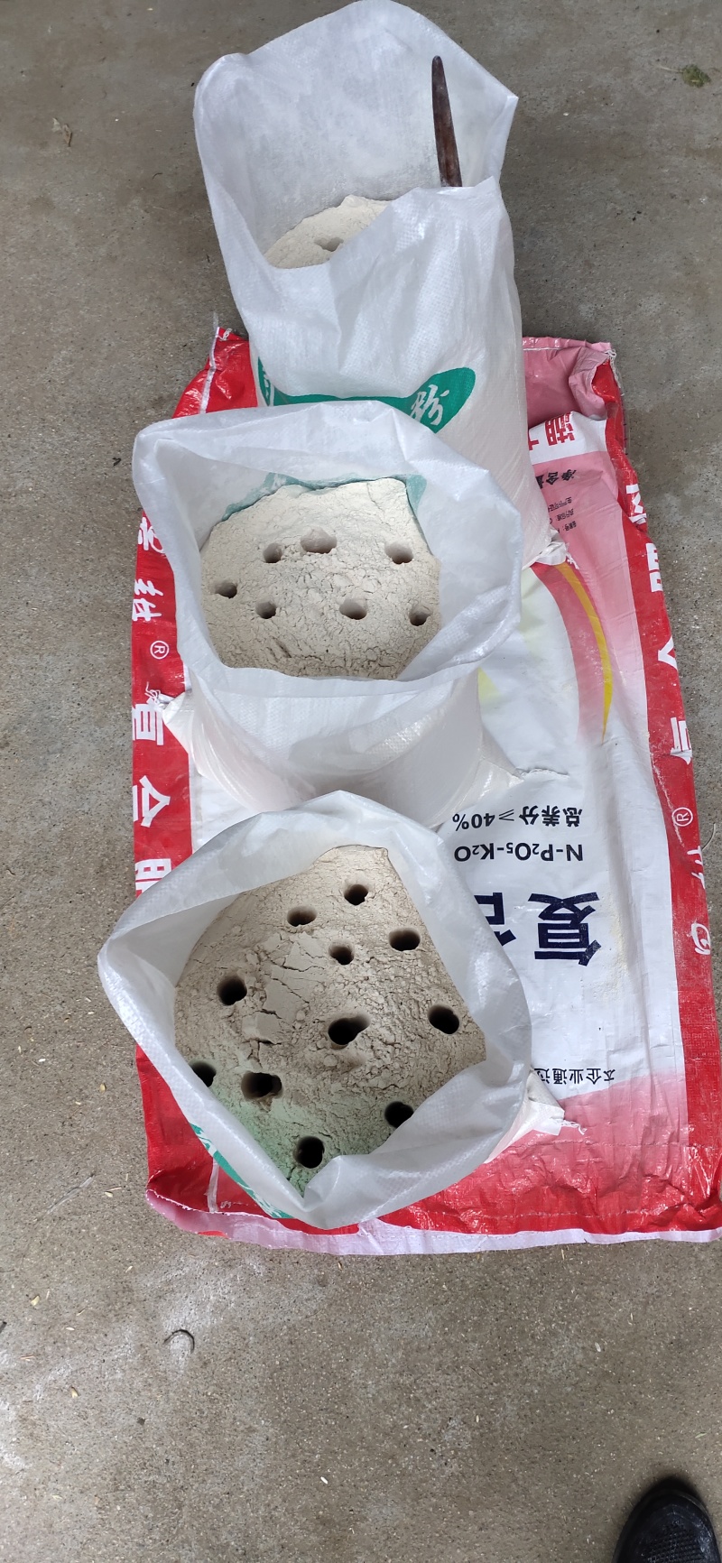 农家小麦面