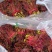 新鲜头发红椿芽