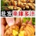 正宗小黄姜