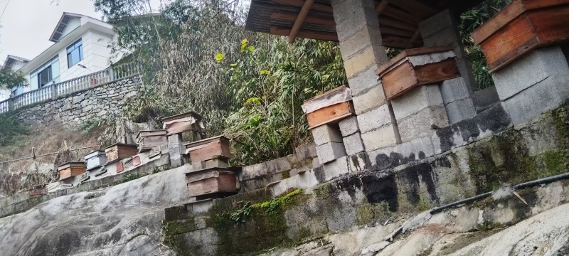 正宗土蜂蜜