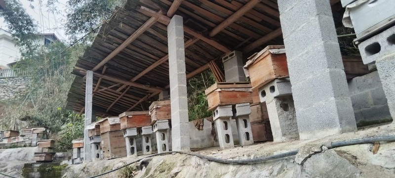 正宗土蜂蜜