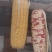 水果玉米糯玉米