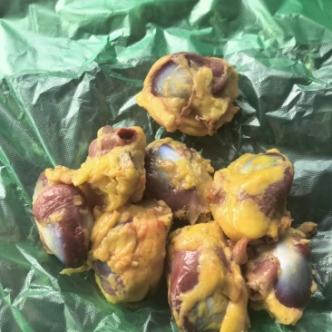 红嘴雁毛胗有货