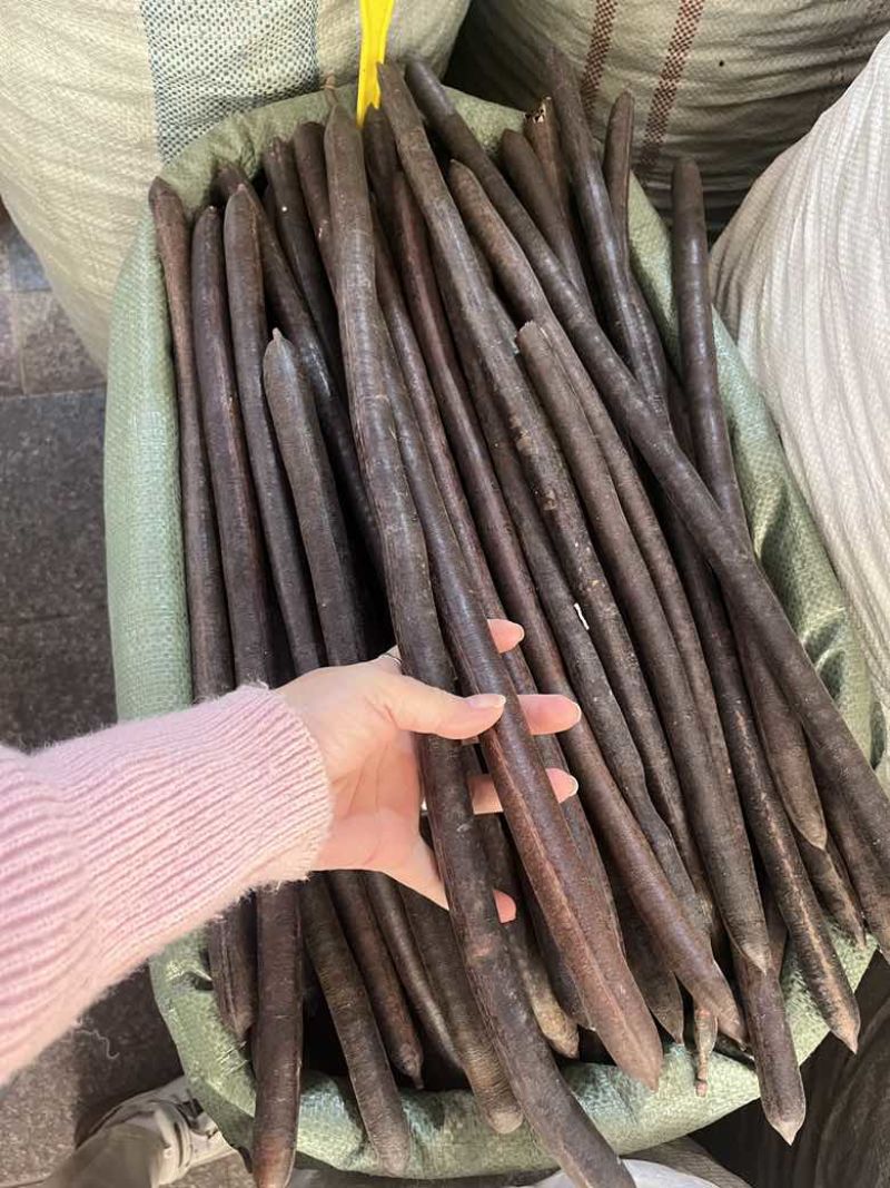 长期批发云南天然便秘果特级大解果腊肠树果整根精品量大价优