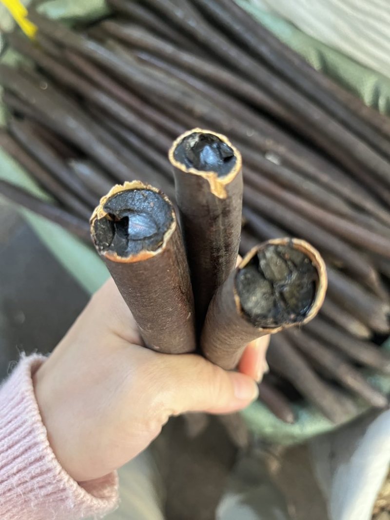 长期批发云南天然便秘果特级大解果腊肠树果整根精品量大价优