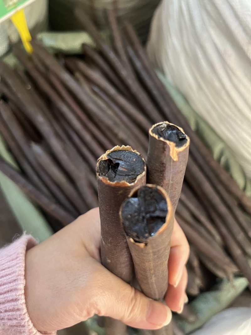 长期批发云南天然便秘果特级大解果腊肠树果整根精品量大价优