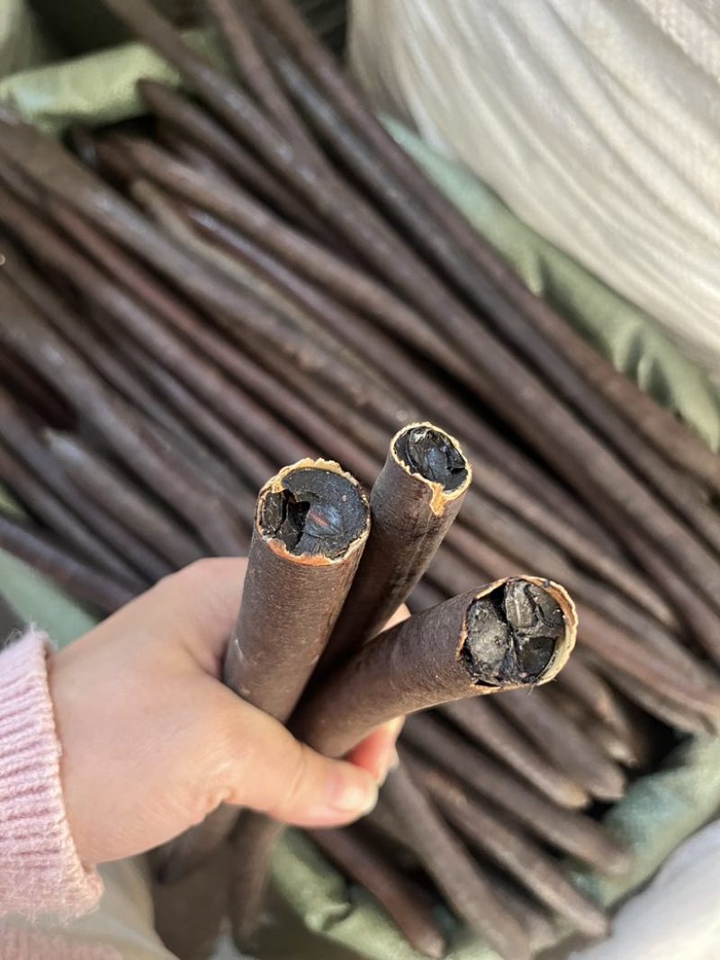 长期批发云南天然便秘果特级大解果腊肠树果整根精品量大价优