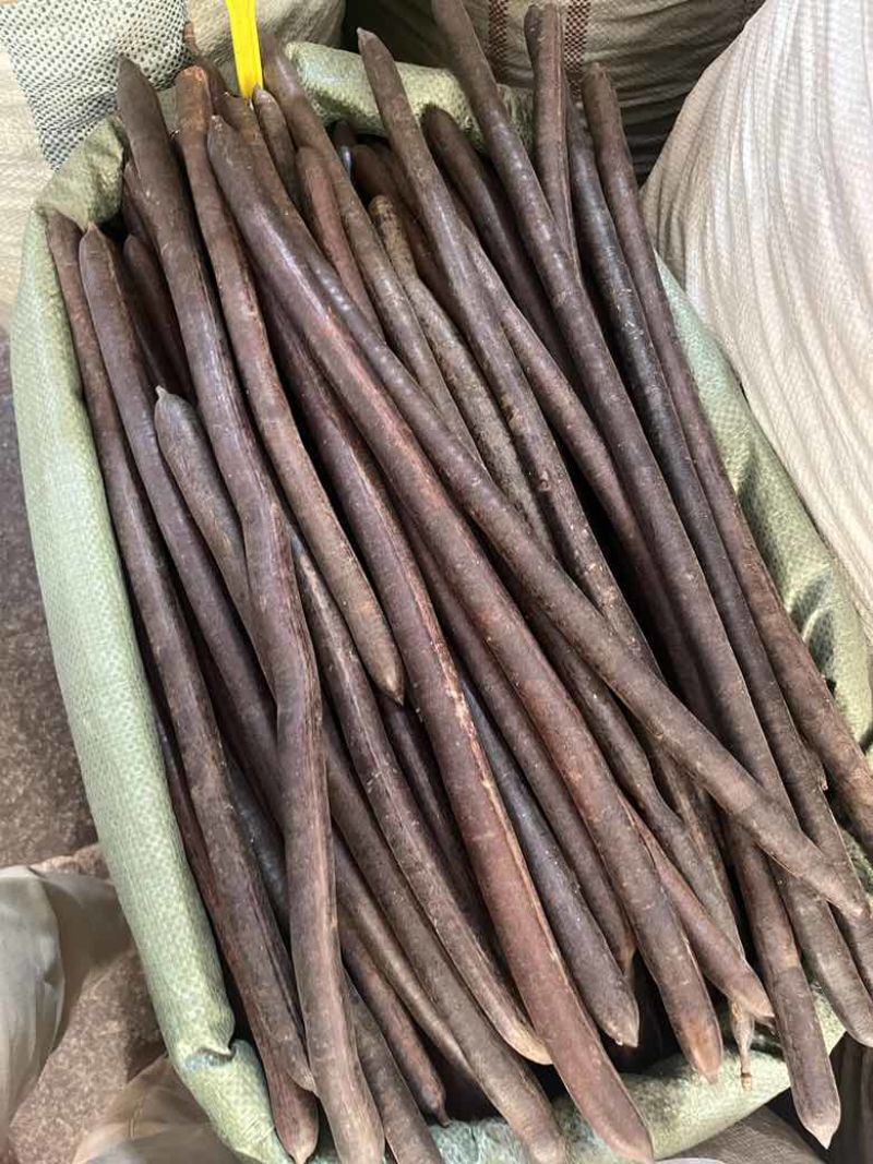 长期批发云南天然便秘果特级大解果腊肠树果整根精品量大价优