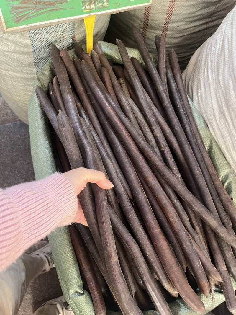 长期批发云南天然便秘果特级大解果腊肠树果整根精品量大价优