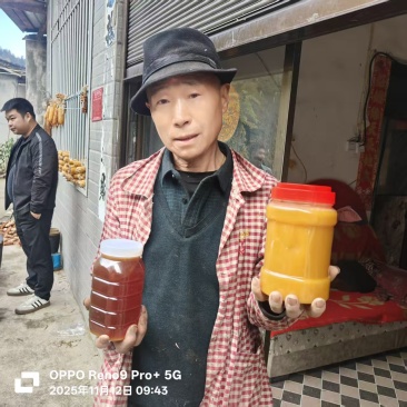 中华土蜂蜜