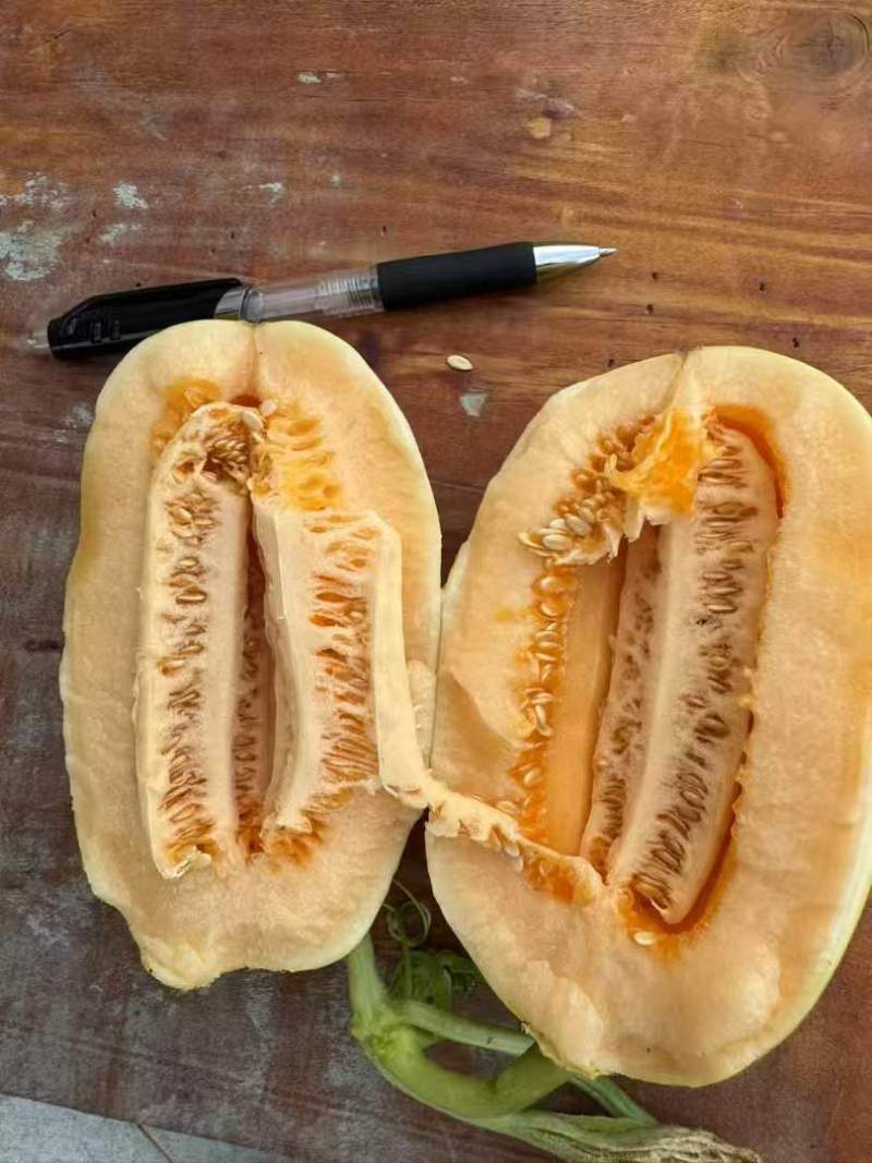 黄金甜瓜