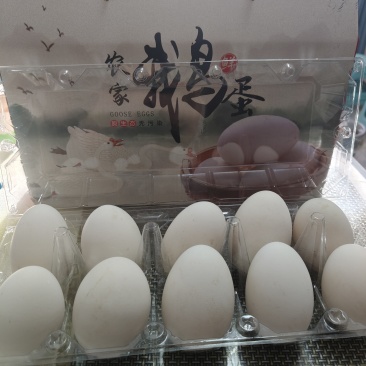 农家散养鹅蛋，口感紧实无腥味，清肠解腻一把手，现捡现发！