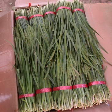 各种精品蔬菜水果