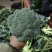 各种精品蔬菜水果