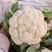 各种精品蔬菜水果