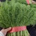 各种精品蔬菜水果