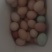 土鸡蛋