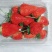 香野草莓