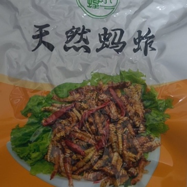 油炸蚂蚱