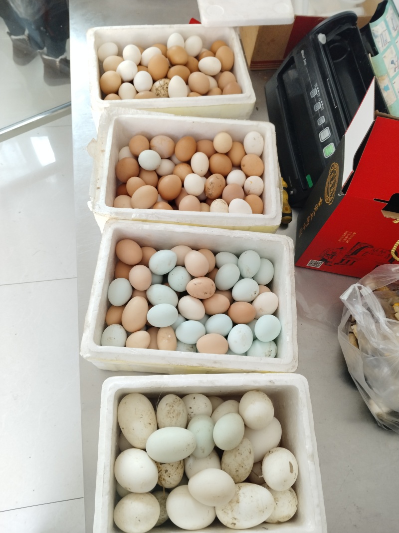 散养土鸡蛋