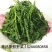 黄河入海口龙须菜