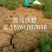 黄河入海口龙须菜