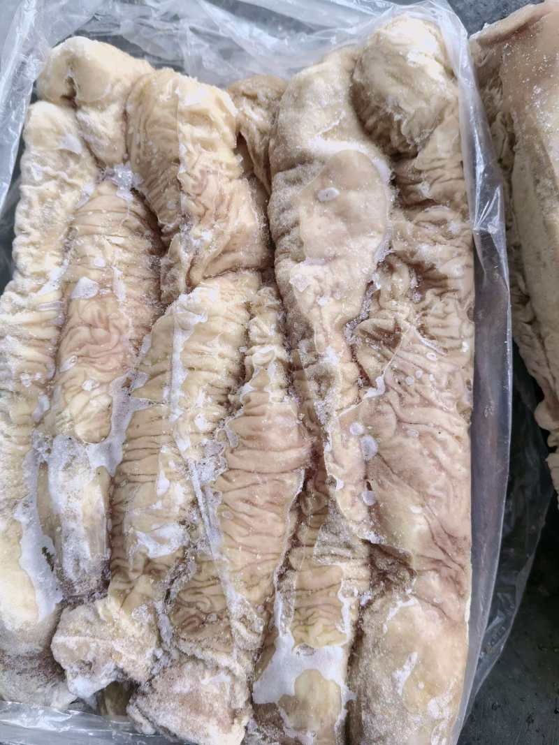 肥猪大肠头