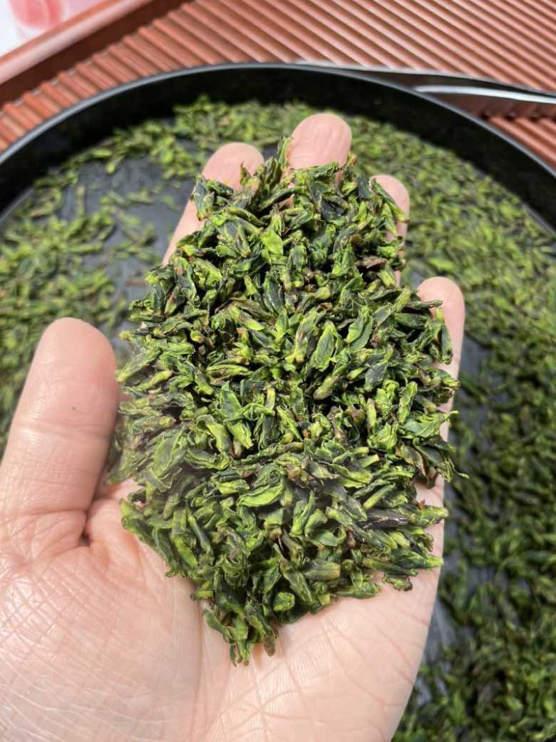 小叶苦丁茶