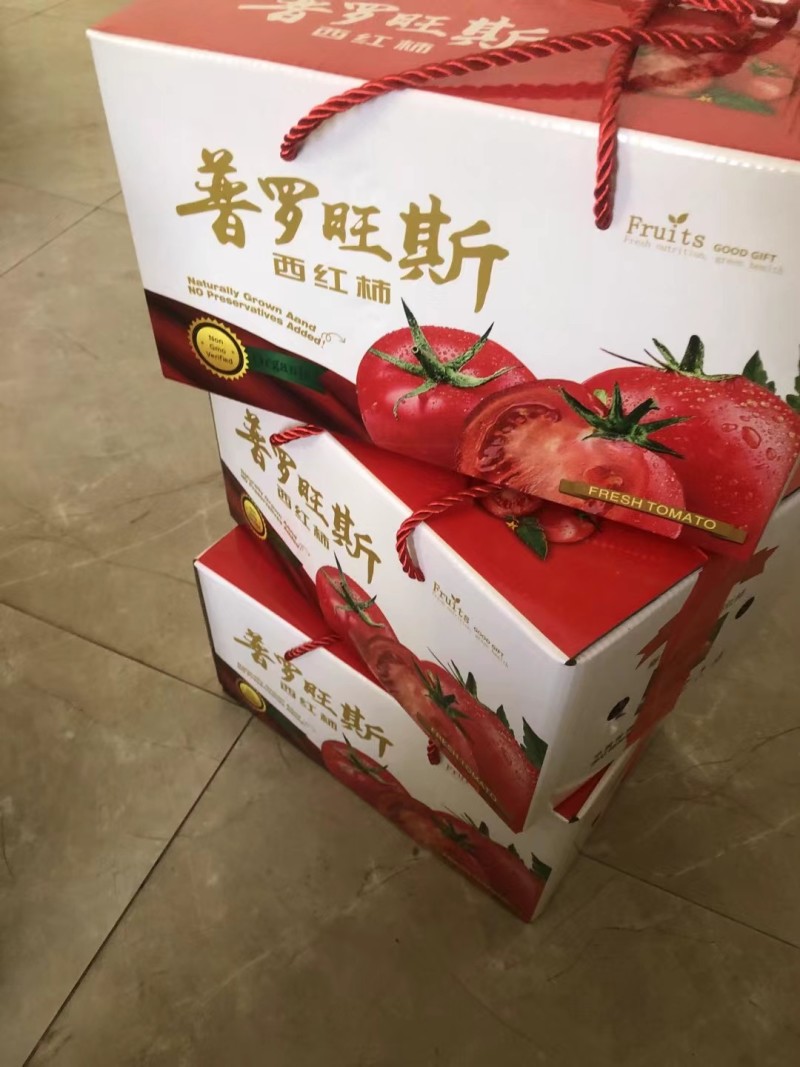 陕西泾阳县普罗旺斯西红柿