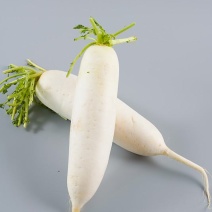 湖南娄底蔬菜