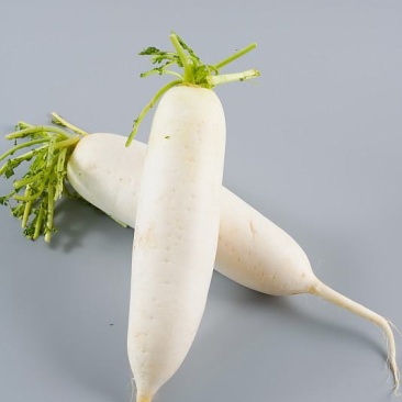 湖南娄底蔬菜