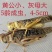 云南昆明活体蚂蚱养殖可食用营养价值高