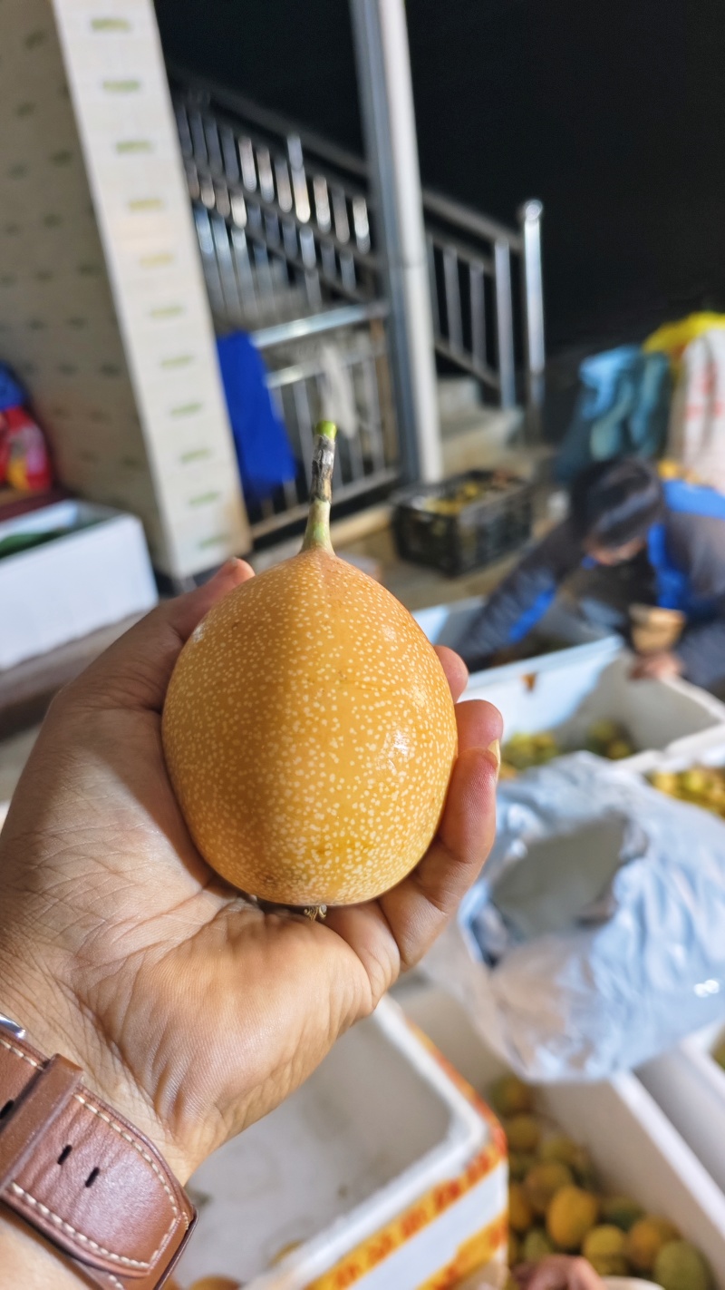 云南热情果
