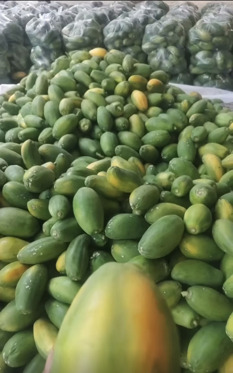 云南红心木瓜，现货大量上市，，，
