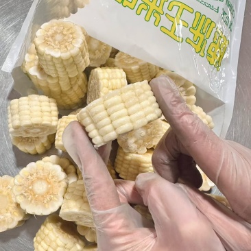 东北粘糯玉米