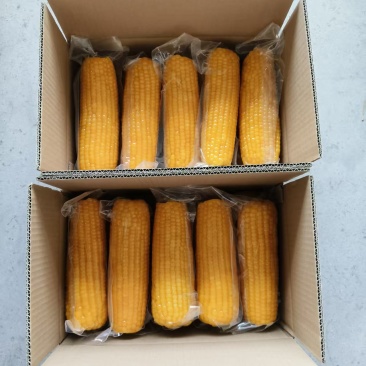 东北鲜食玉米（真空包装）